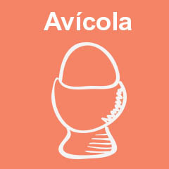 Avícola